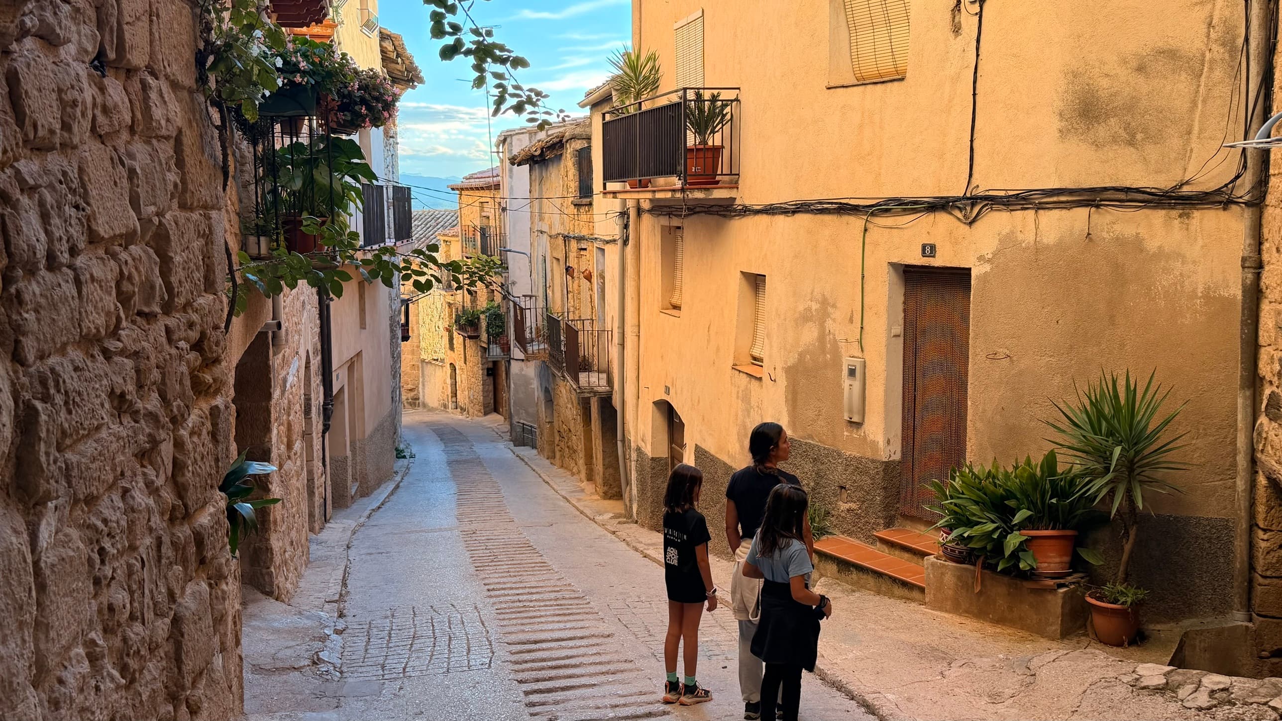 Calle de piedra del casco antiguo de Horta de Sant Joan